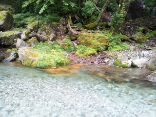 DSC_1019.JPG