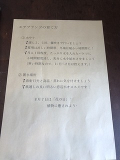 EFA0BF76-31E8-49FB-9BB9-C4706115FA33.jpeg
