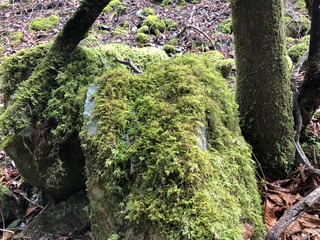 IMG_3090.jpg
