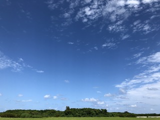 IMG_3139.jpg