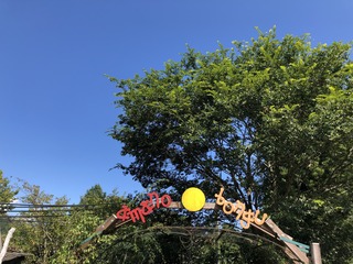 IMG_3890.jpg