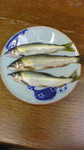 ayu.jpg